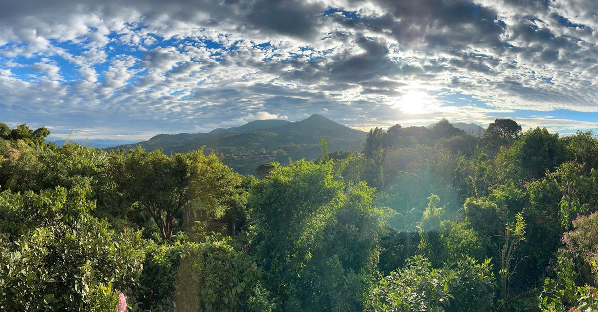 ‘We’re just trying to adapt’: Coffee farmers face down climate change ‘We’re just trying to adapt’: Coffee farmers face down climate change