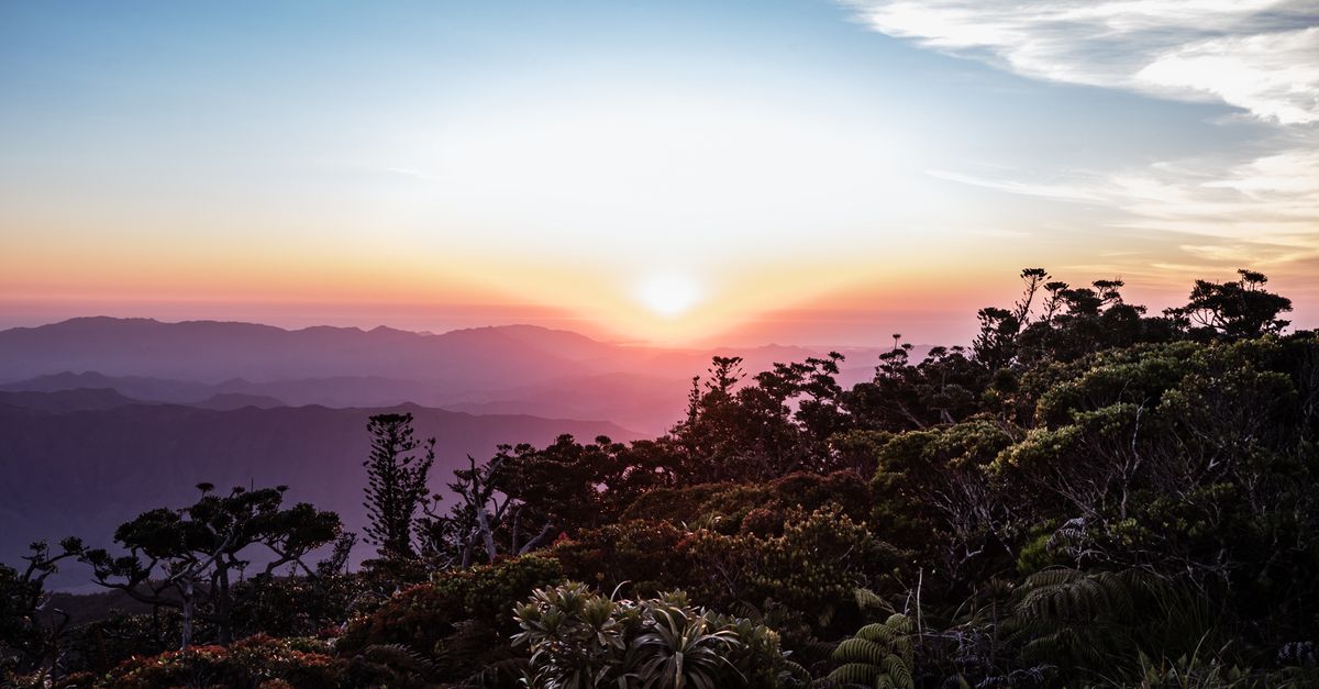 Study: Nature has saved us from worst climate impacts — for now Study: Nature has saved us from worst climate impacts — for now