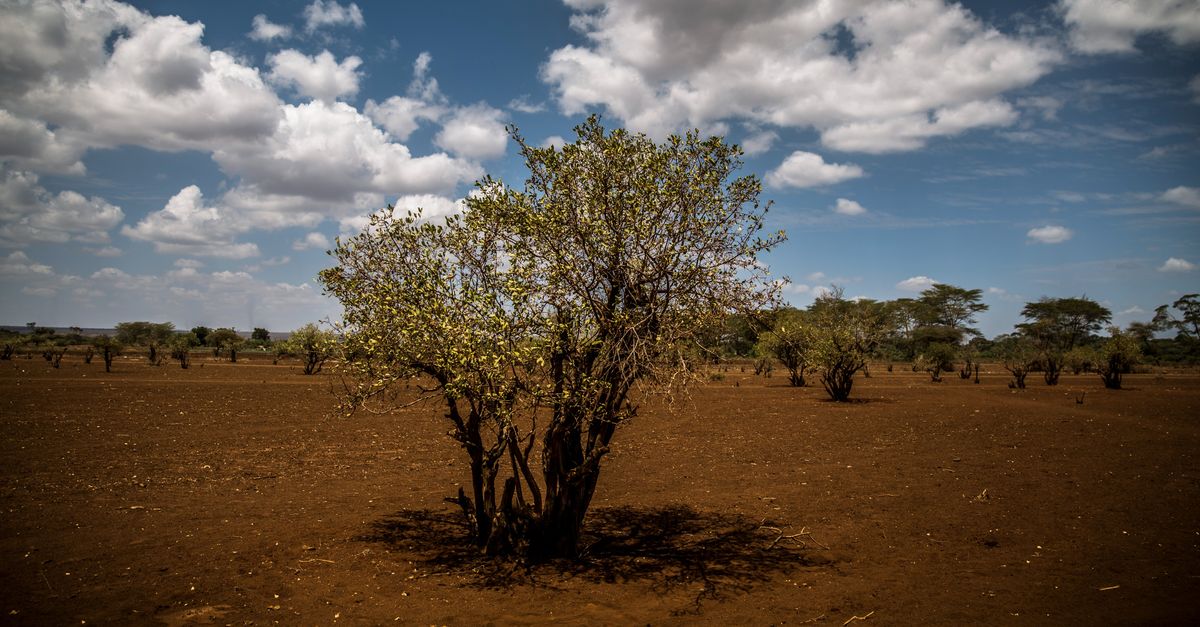As climate crisis accelerates, who bears the brunt? | Conservation International