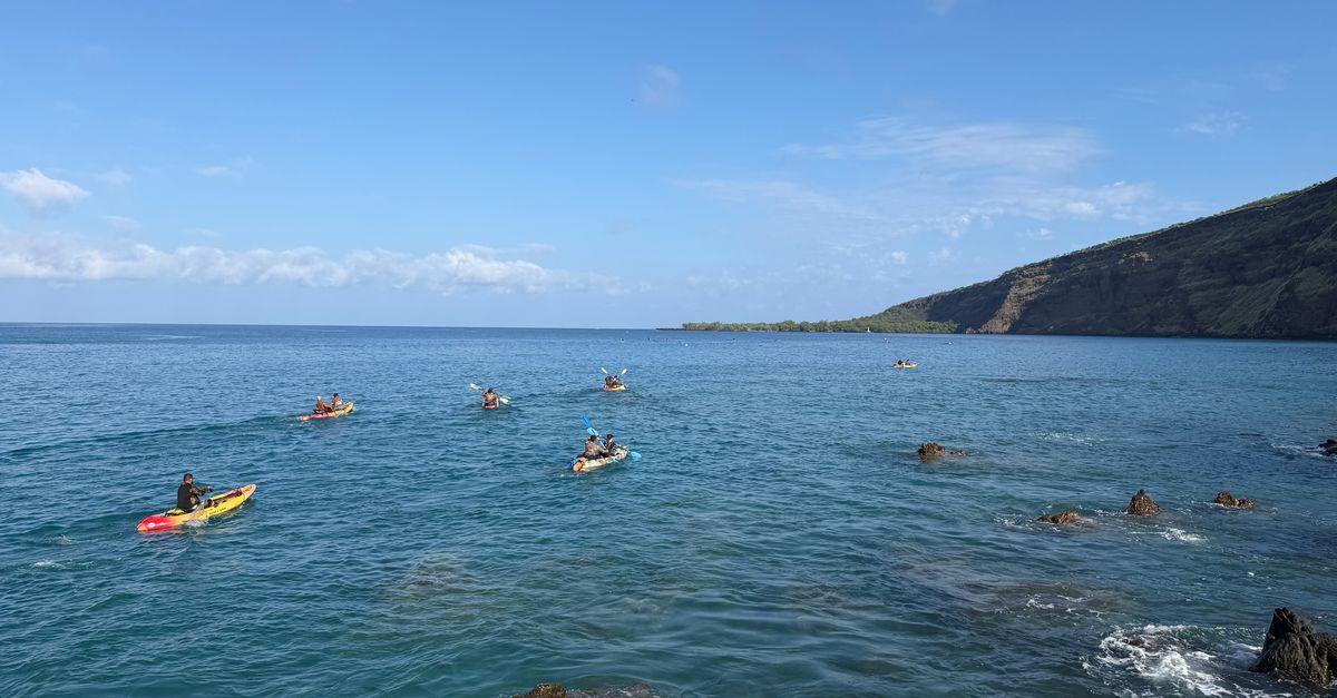 The hunt is on for invaders of a Hawaiian reef
