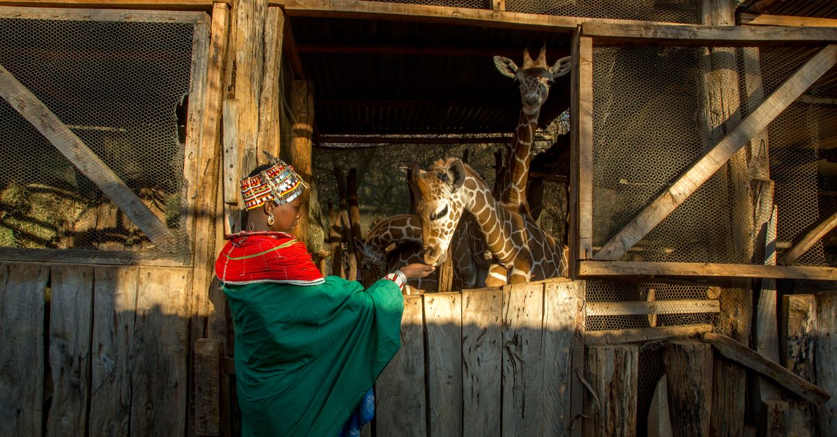 My Africa – Conservation International My Africa – Conservation International