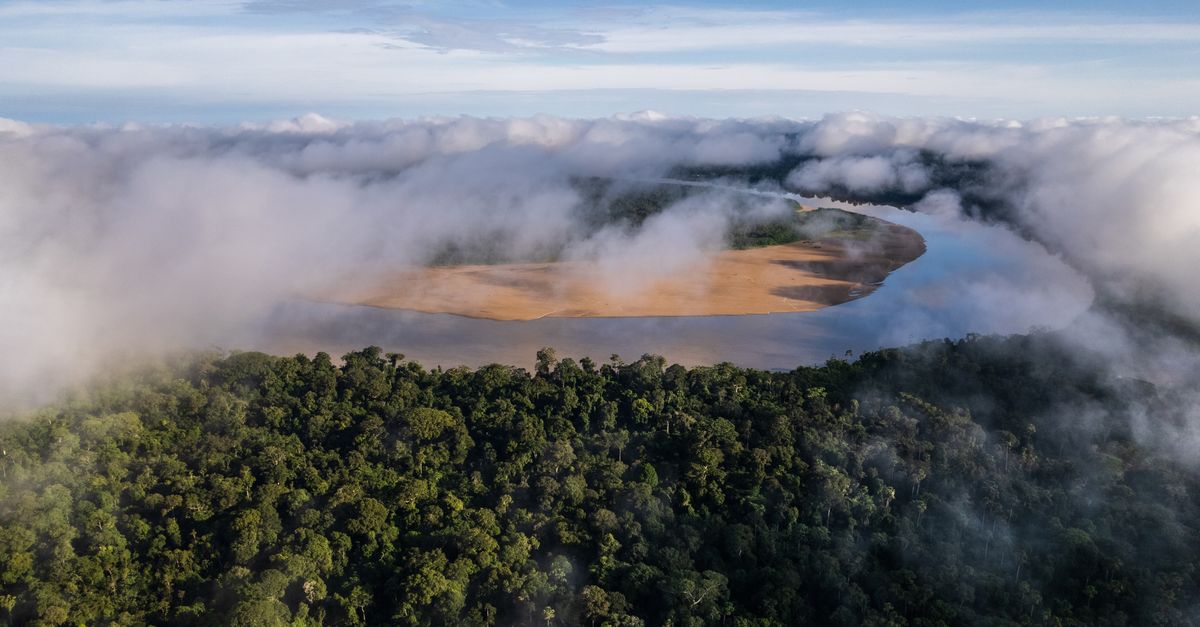 New protected area a win for Amazonian wildlife, people New protected area a win for Amazonian wildlife, people