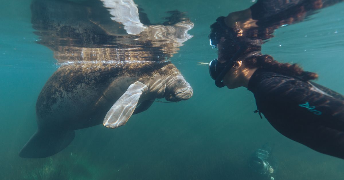 New film drops beat for ‘climate heroes’ New film drops beat for ‘climate heroes’