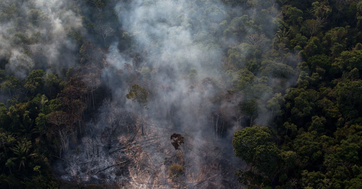 The Amazon is on fire: 5 things you need to know The Amazon is on fire: 5 things you need to know