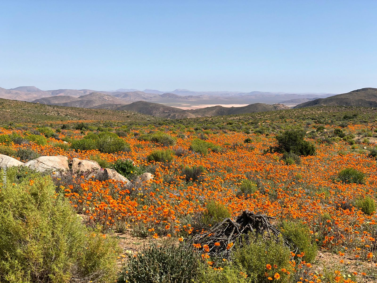 e0c5ea457e82620118bcea39a47ef9