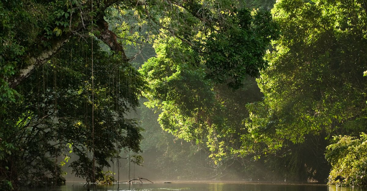 Study: Protect these places — or face climate doom Study: Protect these places — or face climate doom