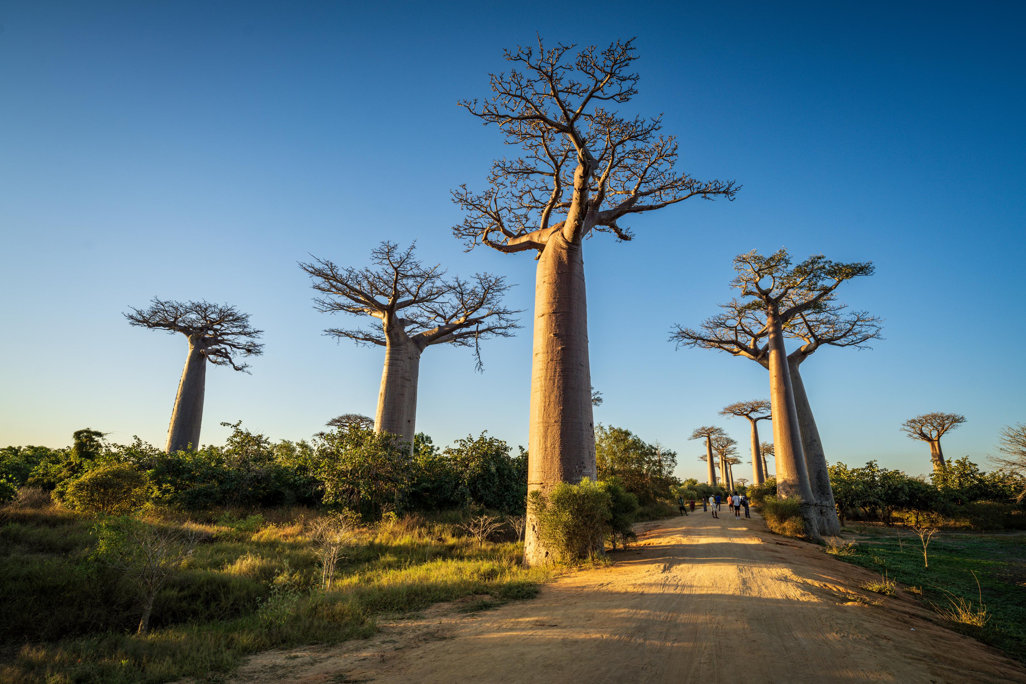 Nature Credit Markets | Conservation International