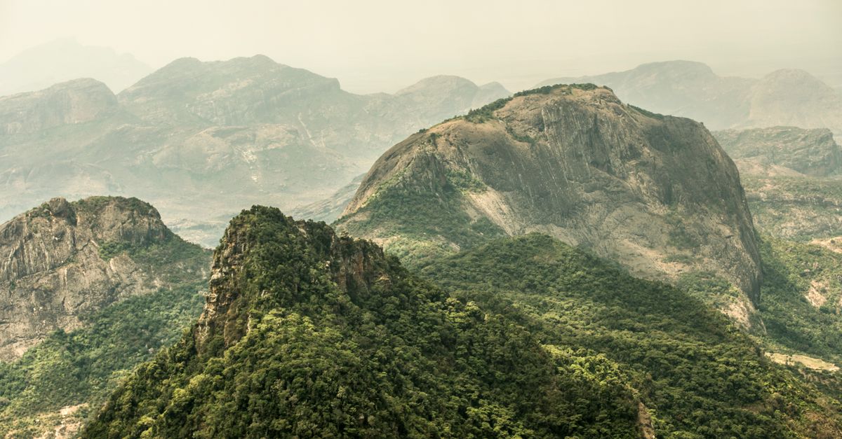 What on Earth is ‘natural capital’? What on Earth is ‘natural capital’?
