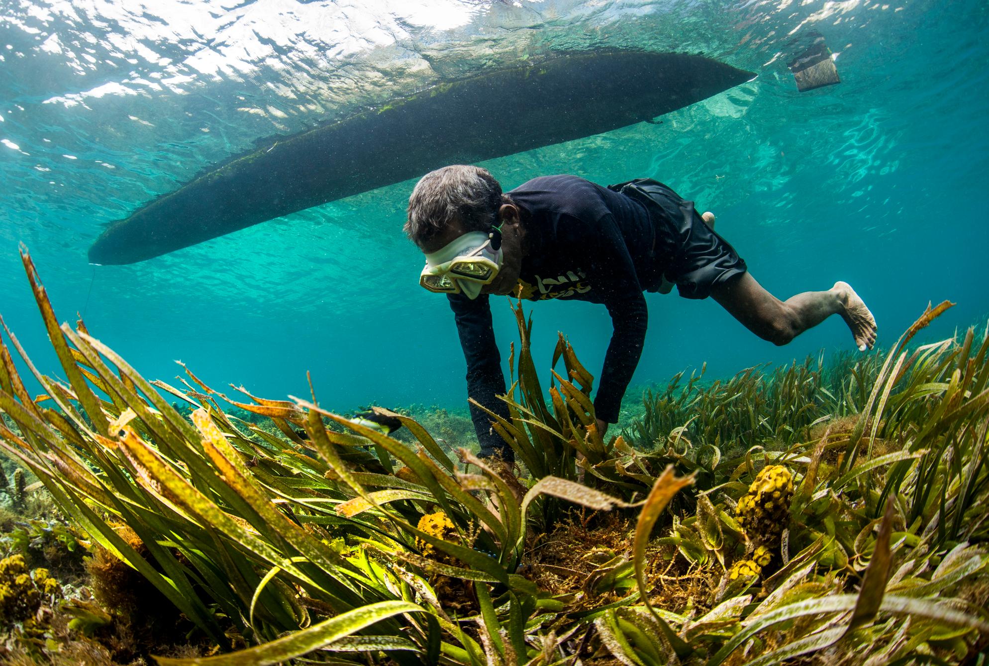 Center for Oceans | Conservation International