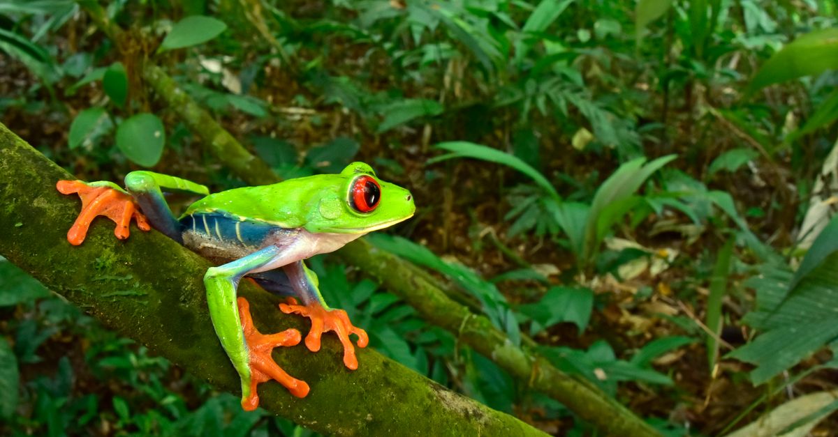 In a long-lost city, scientists find an ‘exuberance’ of life In a long-lost city, scientists find an ‘exuberance’ of life