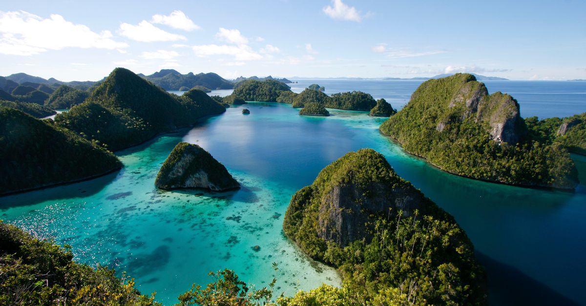Heal our planet: How we're protecting Indonesia