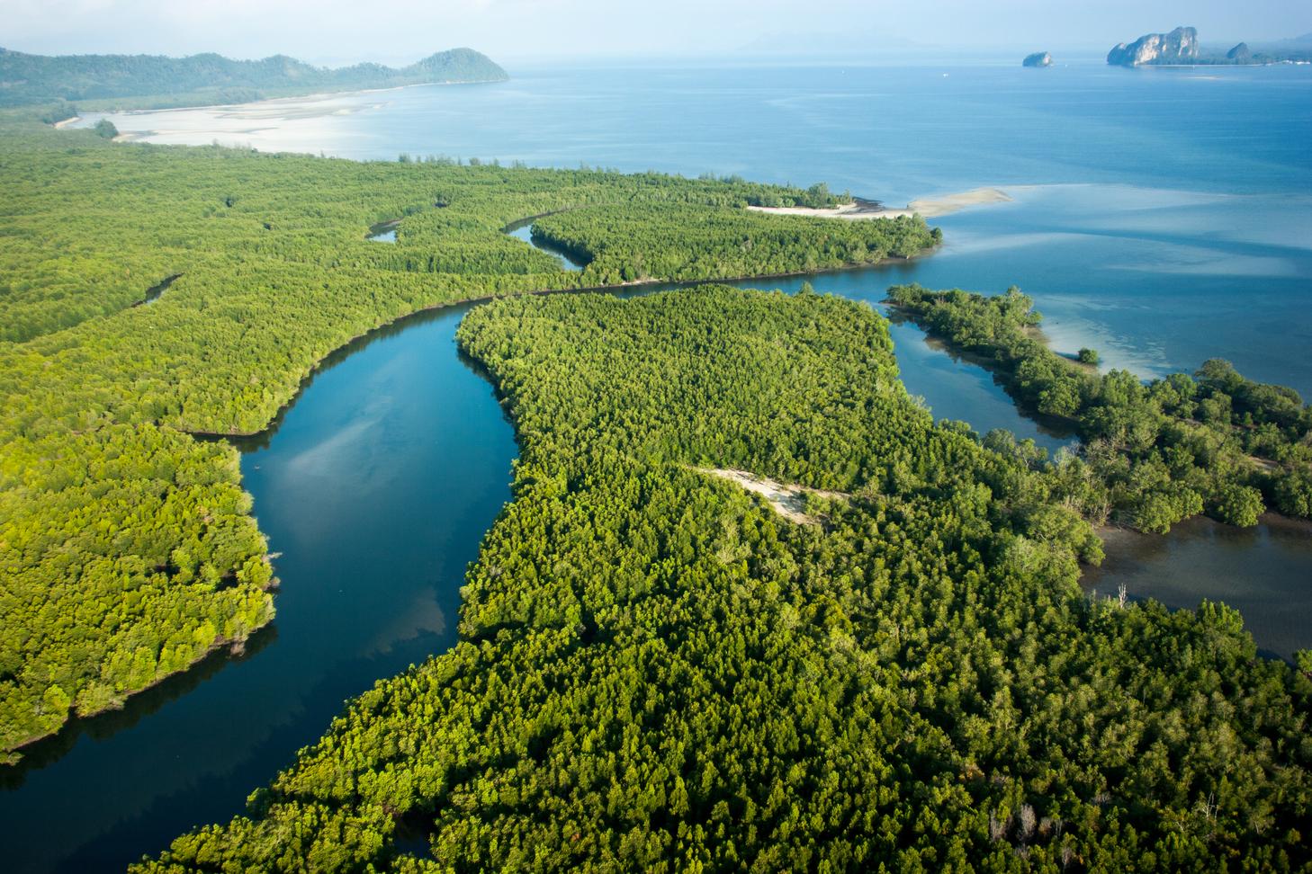 Amazonia facts | Conservation International