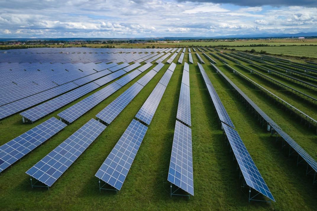 Restored solar field at dawn after storm remediation