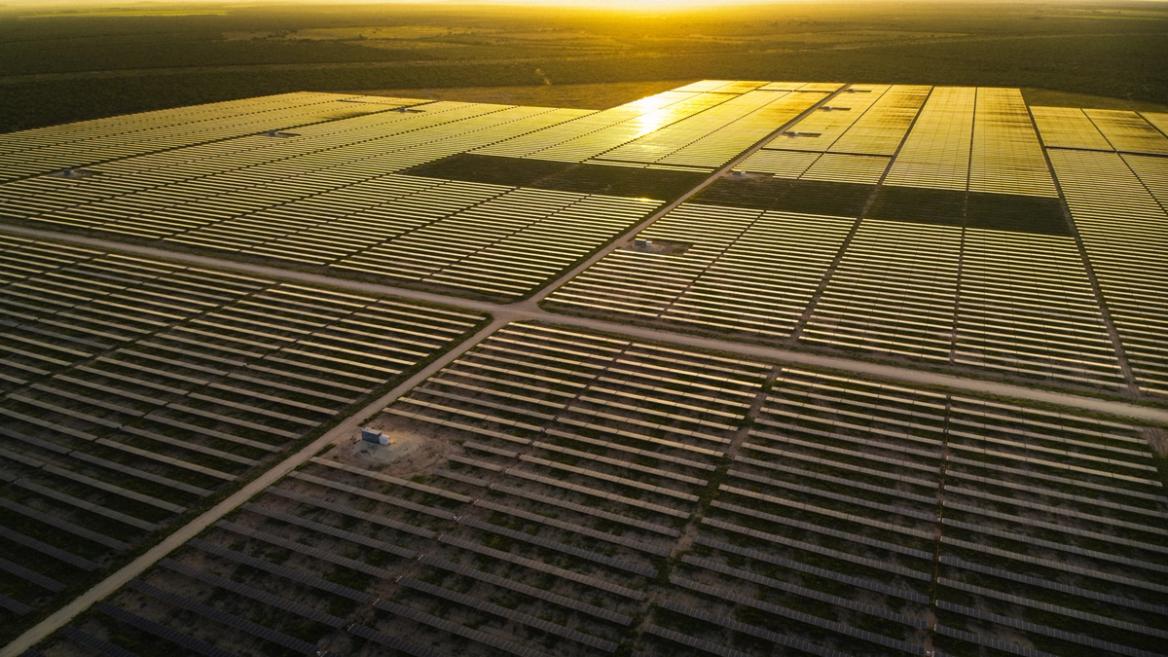 Rows of solar photovoltaic panels at sunset