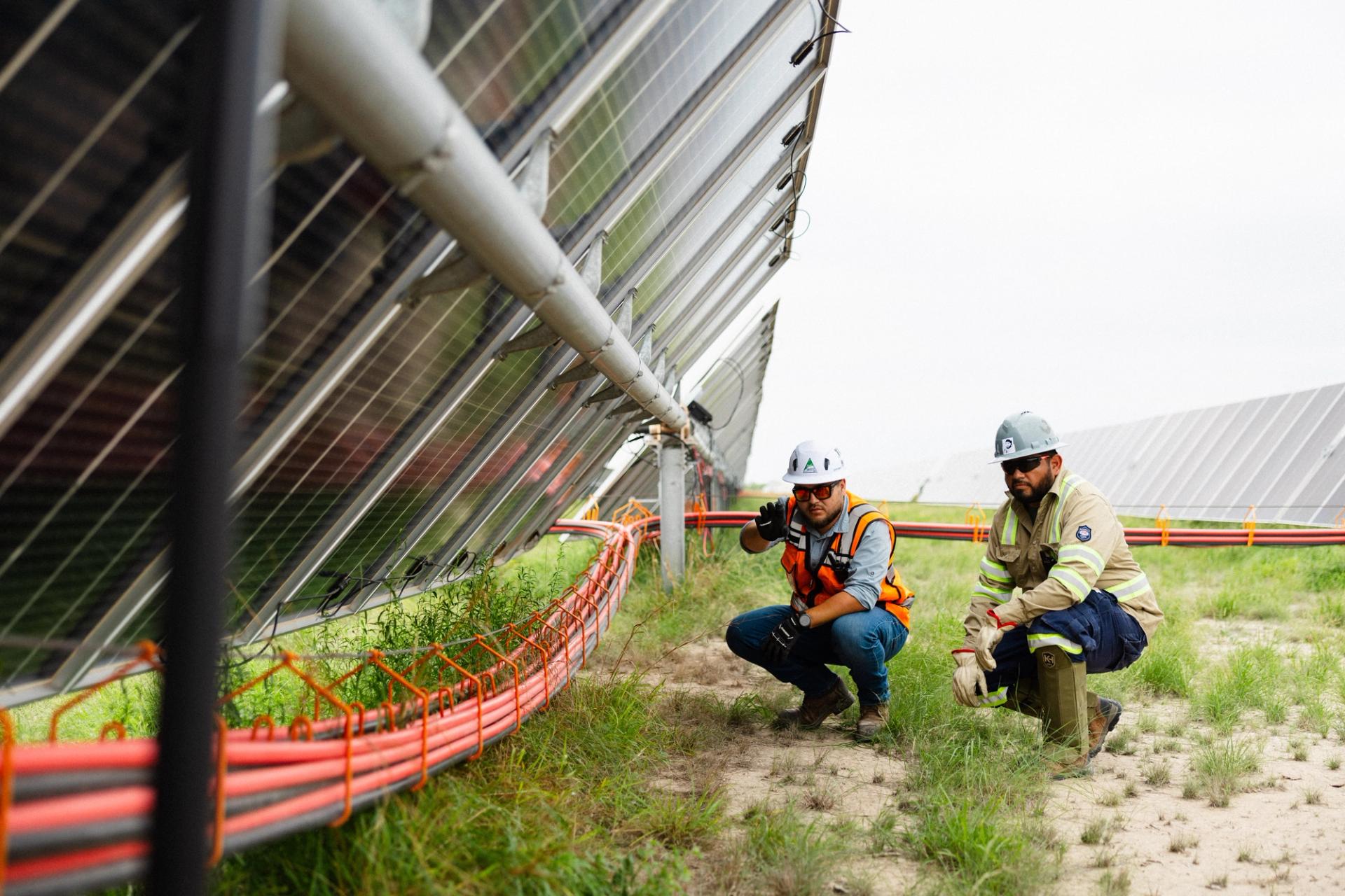 Crew installing solar racking and tracker structures on a utility-scale site