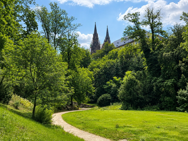 Pohled na Pražský hrad jako z louky