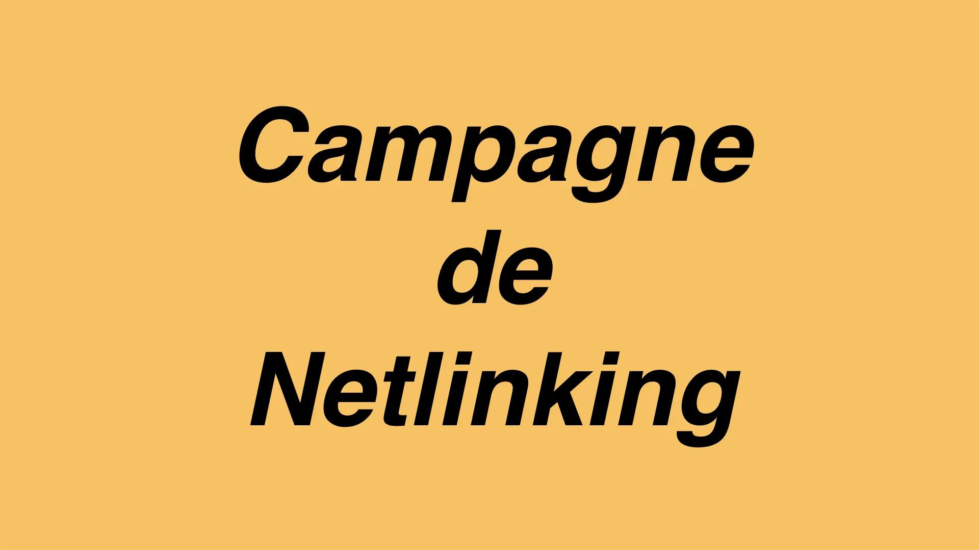 Campagne de netlinking