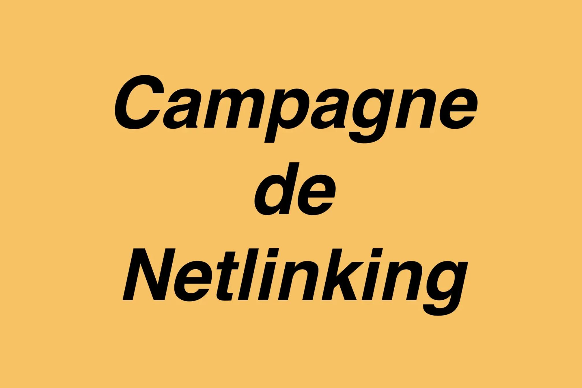 Campagne de netlinking