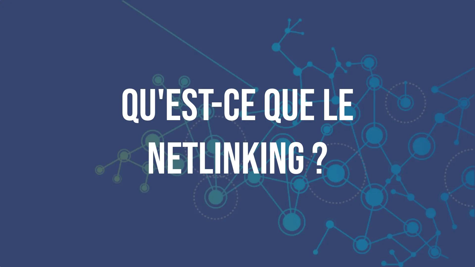 Qu’est-ce que le Netlinking ? 