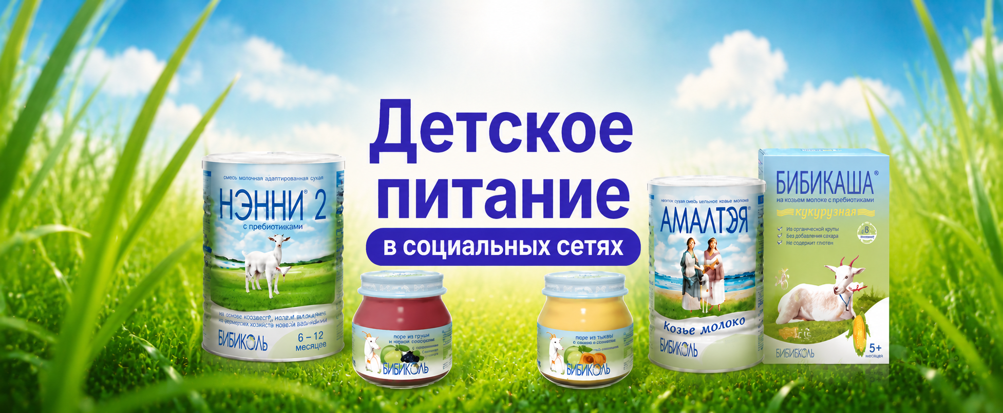 Продвижение бренда детского питания в социальных сетях
