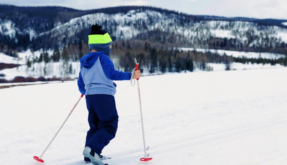 Blåmeis om vinteren