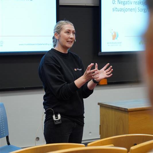 demenskor charlotte stav