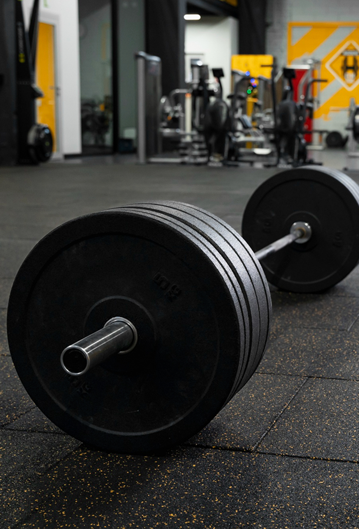 Fitness & Wellness