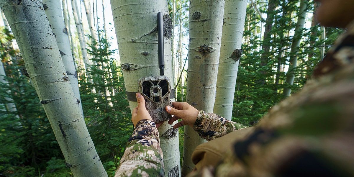 Exodus render trail camera