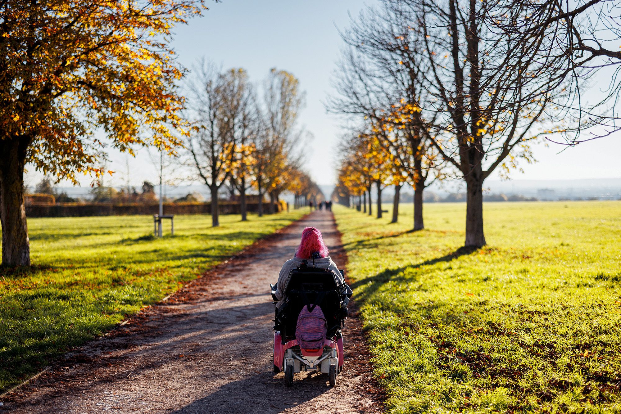 Saskia riding in her wheelchair down a tree lined dirt road, green grass on either side