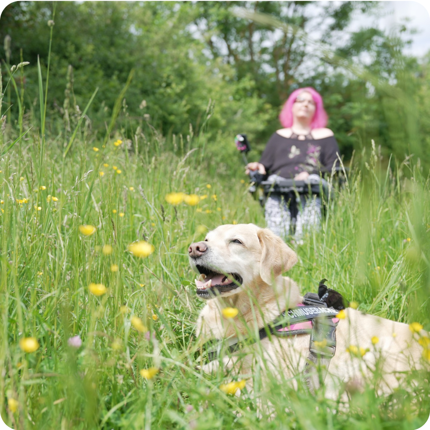 Hund liegt im Gras im Hintergrund munevo-Nutzerin in ihrem Rollstuhl