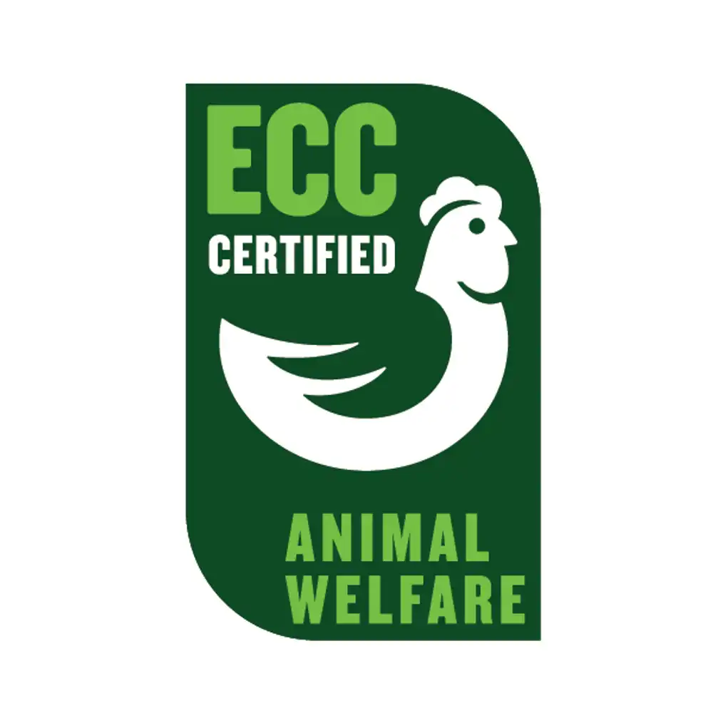Hva er ECC-Standard?