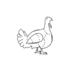 Kalkun