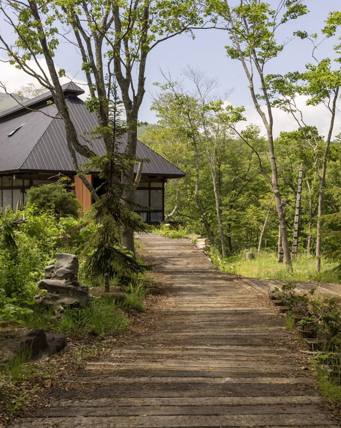a path surrounded by greenery leading up to a house with charcoal roof