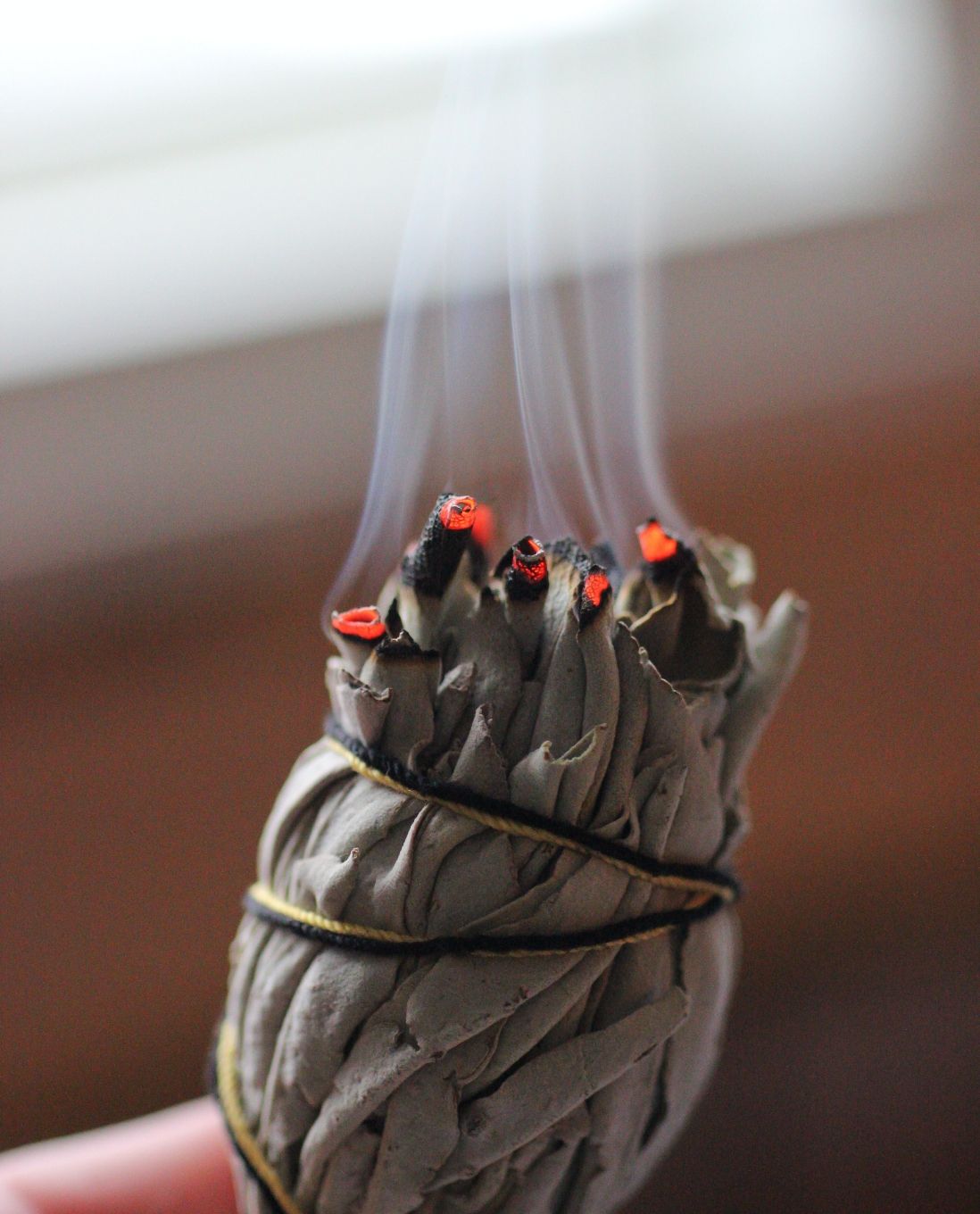 The New Moon Library, 4 cleansing rituals for the next new moon, smoke smudging & scents