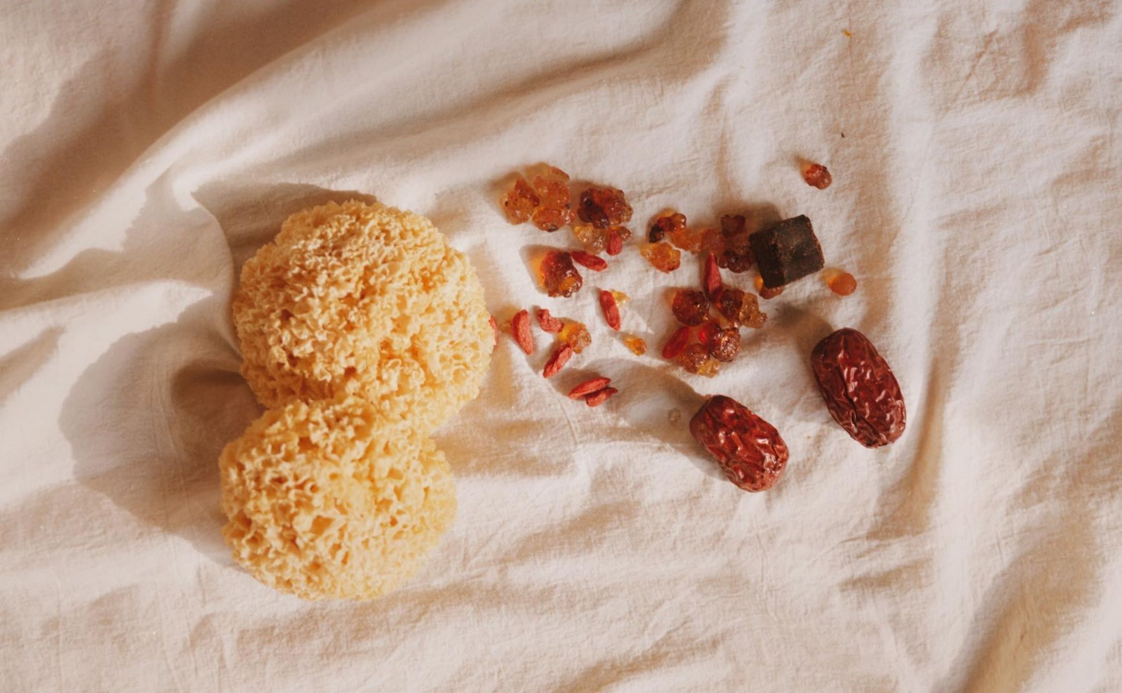 TCM ingredients on tablecloth, including snow fungus, red dates, and goji berries