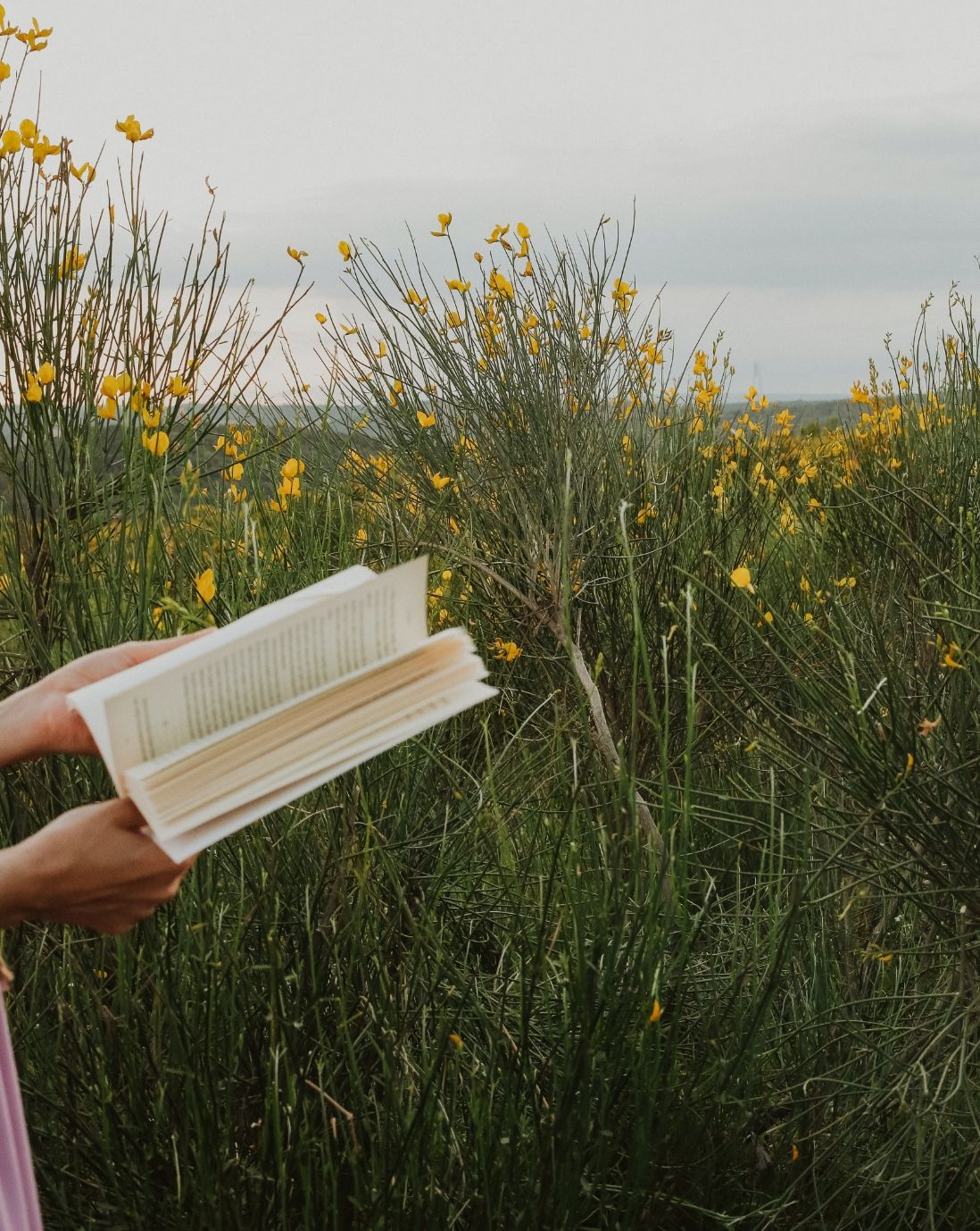 Woman’s hand holding a book in a field with yellow flowers