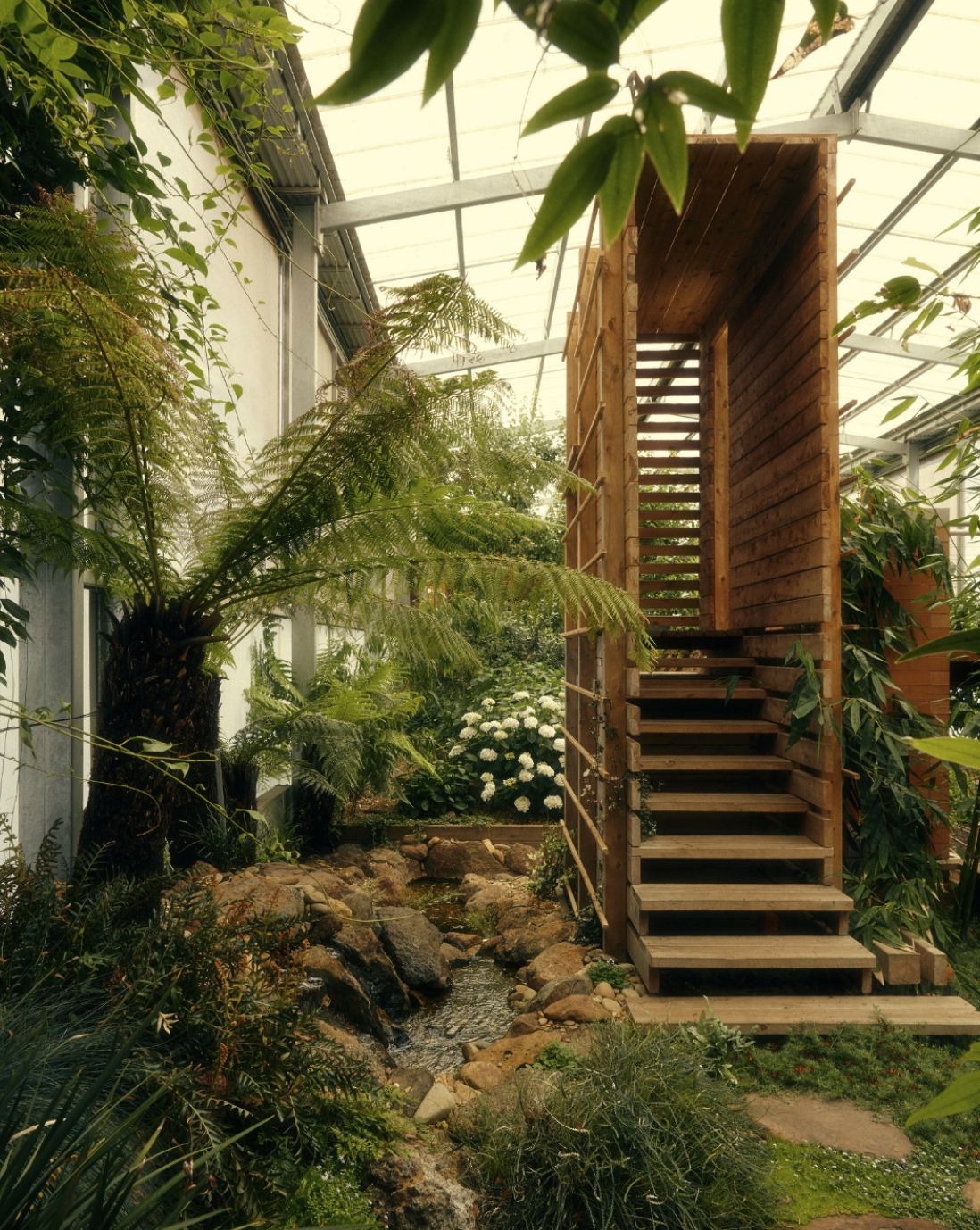 Green garden with wooden staircase in greenhouse