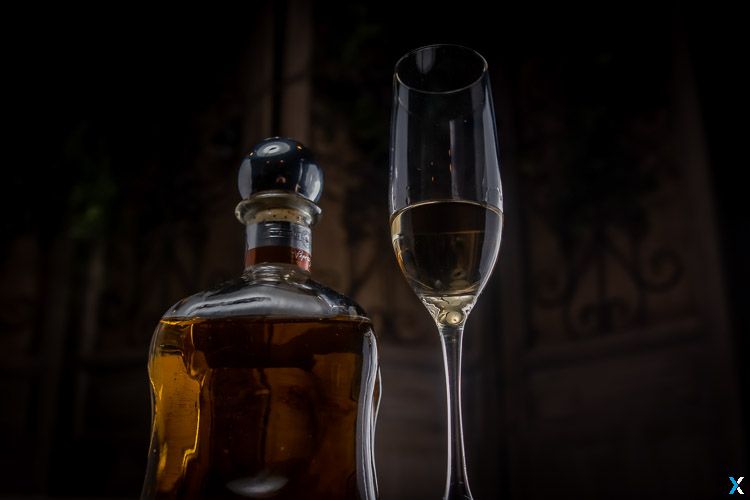 Agave + Sotol