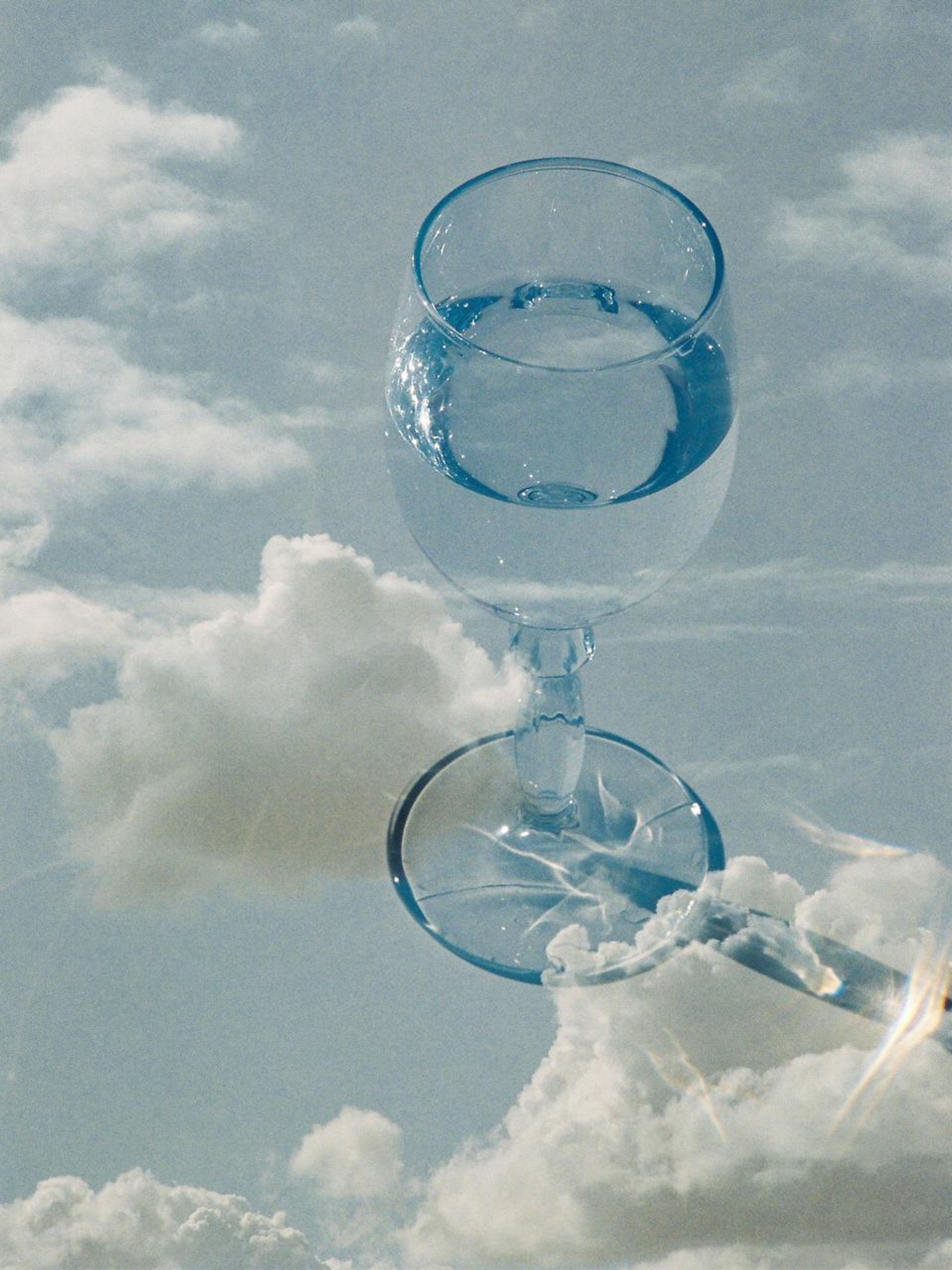 still-life-wine-glass