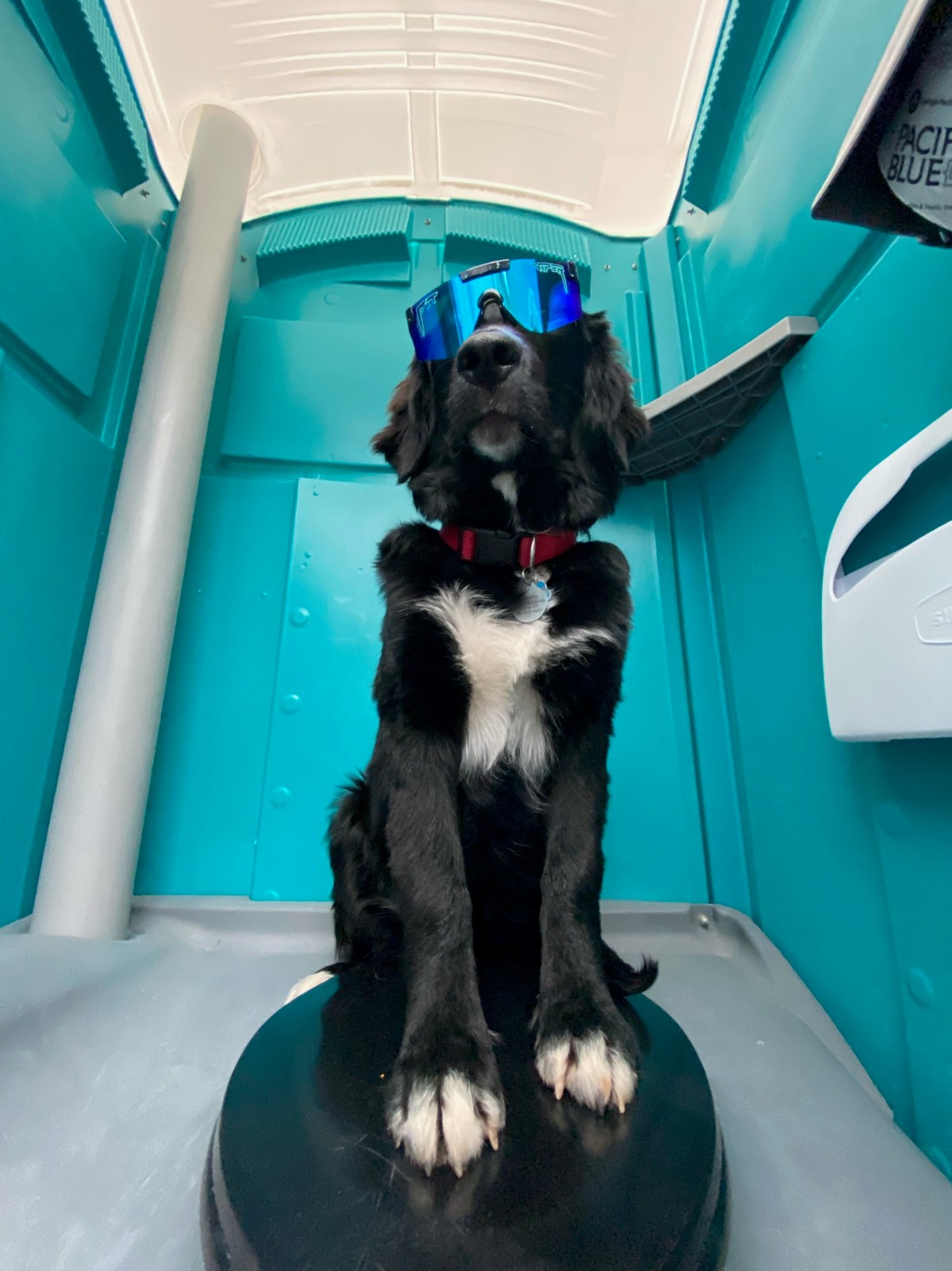 Warm, inviting atmosphere