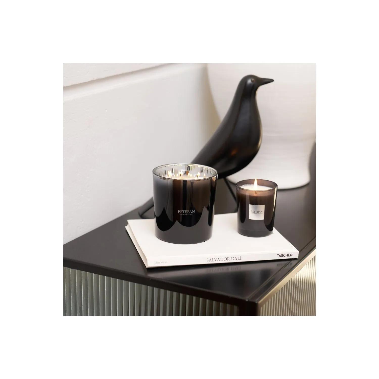Bougie parfumée Ambre rechargeable 450g 3