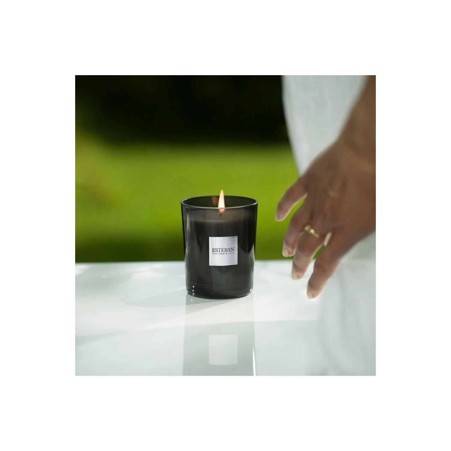 Bougie parfumée initiale Ambre rechargeable 180g 4