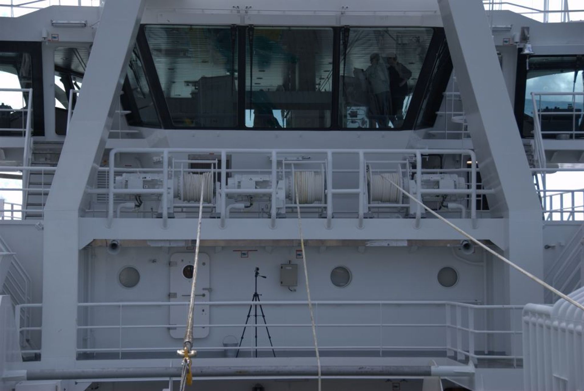 Gadus Poseidon - Image 3