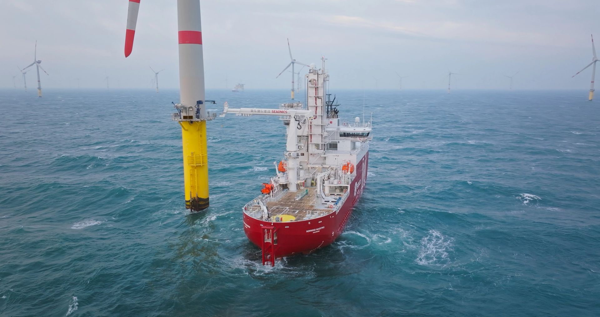 Seaonics crane