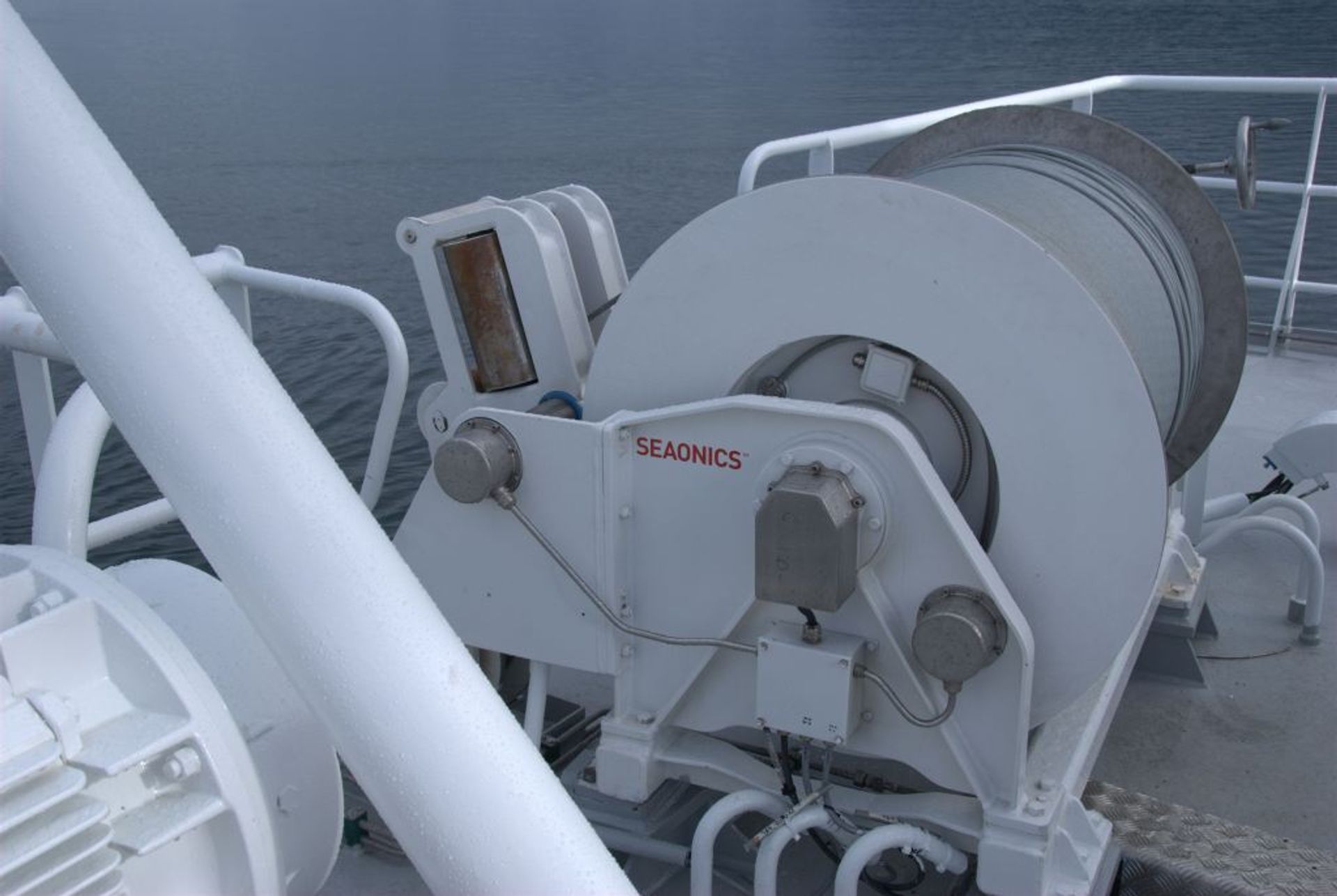 Gadus Poseidon - Image 5