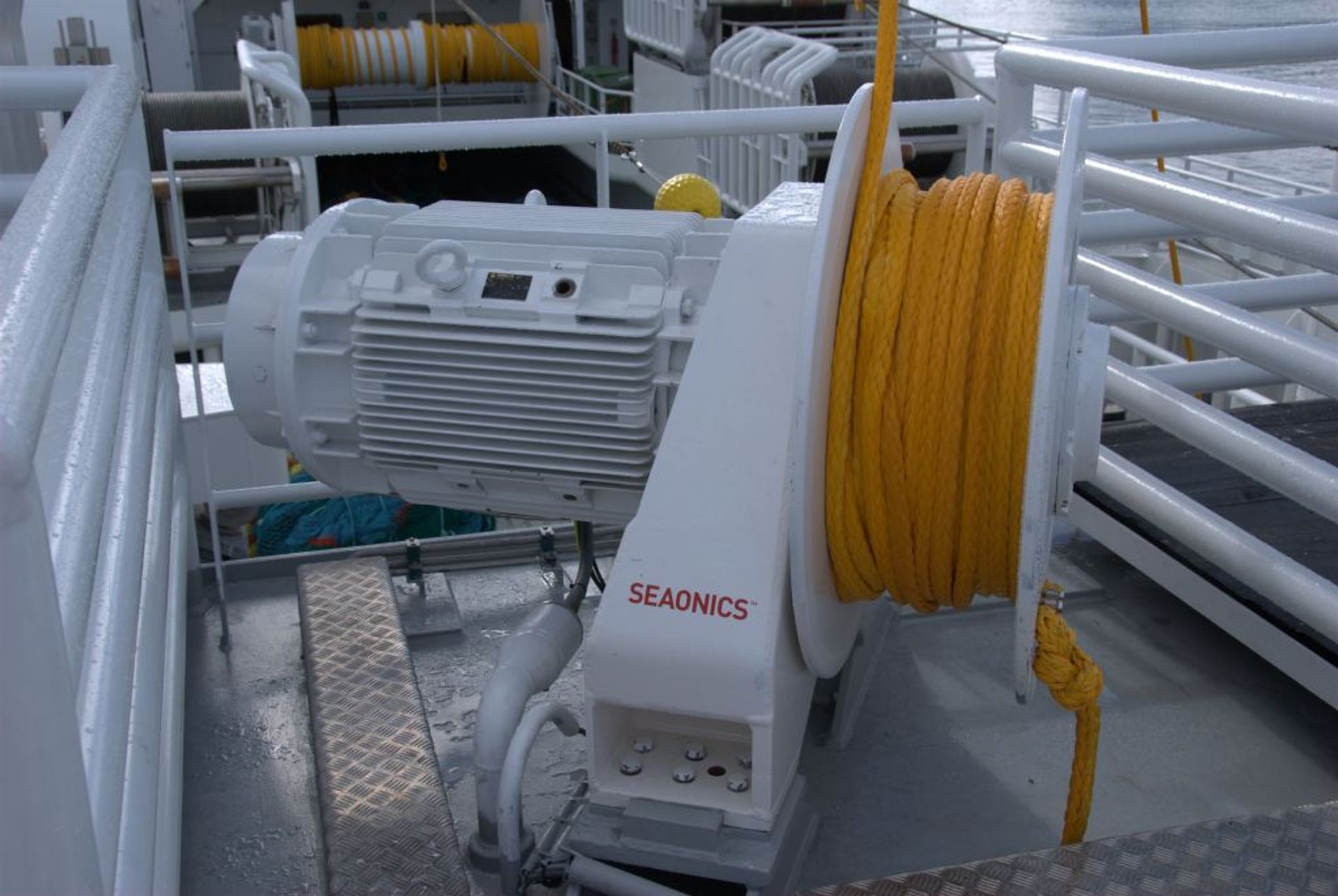 Gadus Poseidon - Image 4