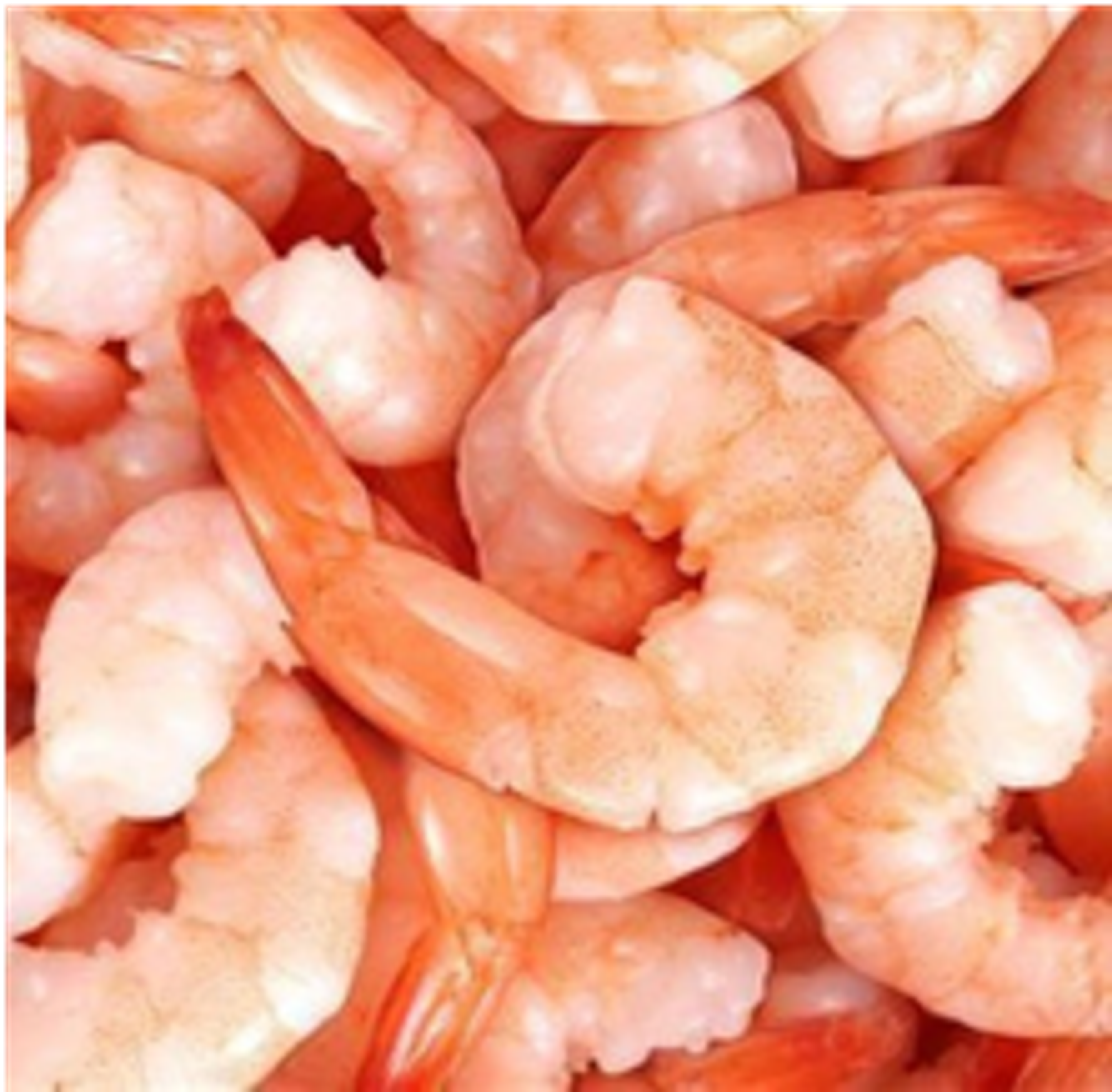 Prawns, small
