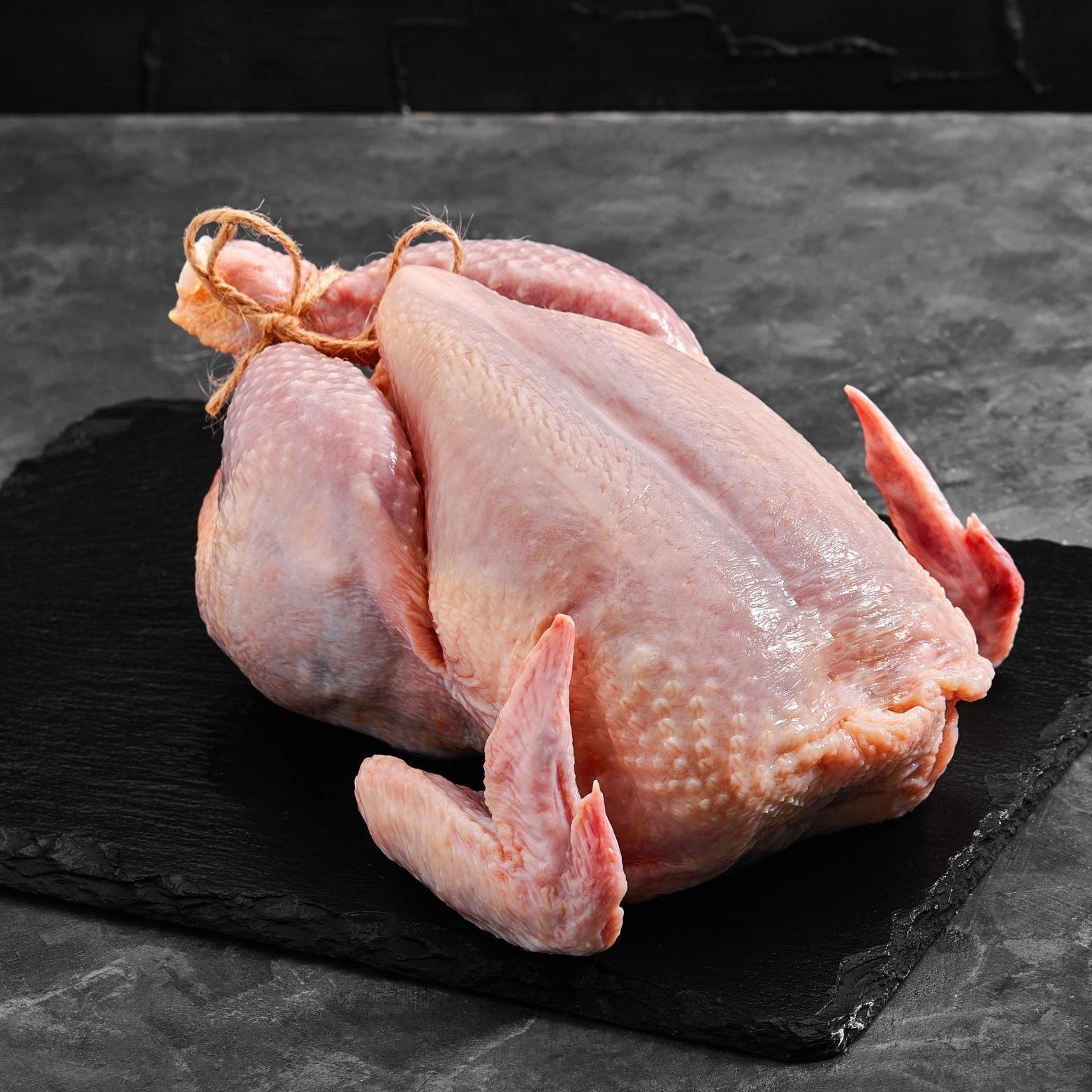Free Range Chicken