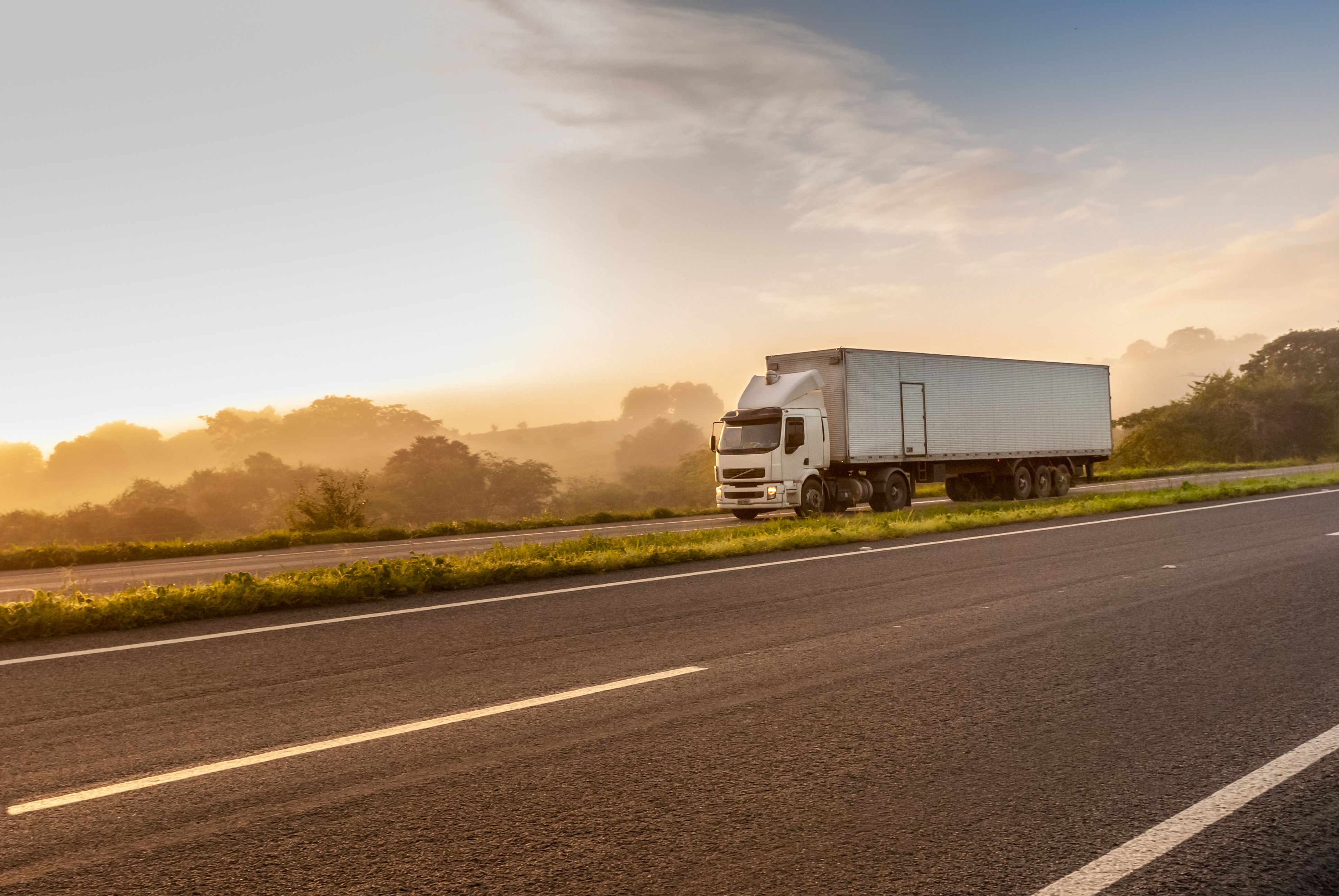 Site para transportadora: o que não pode faltar