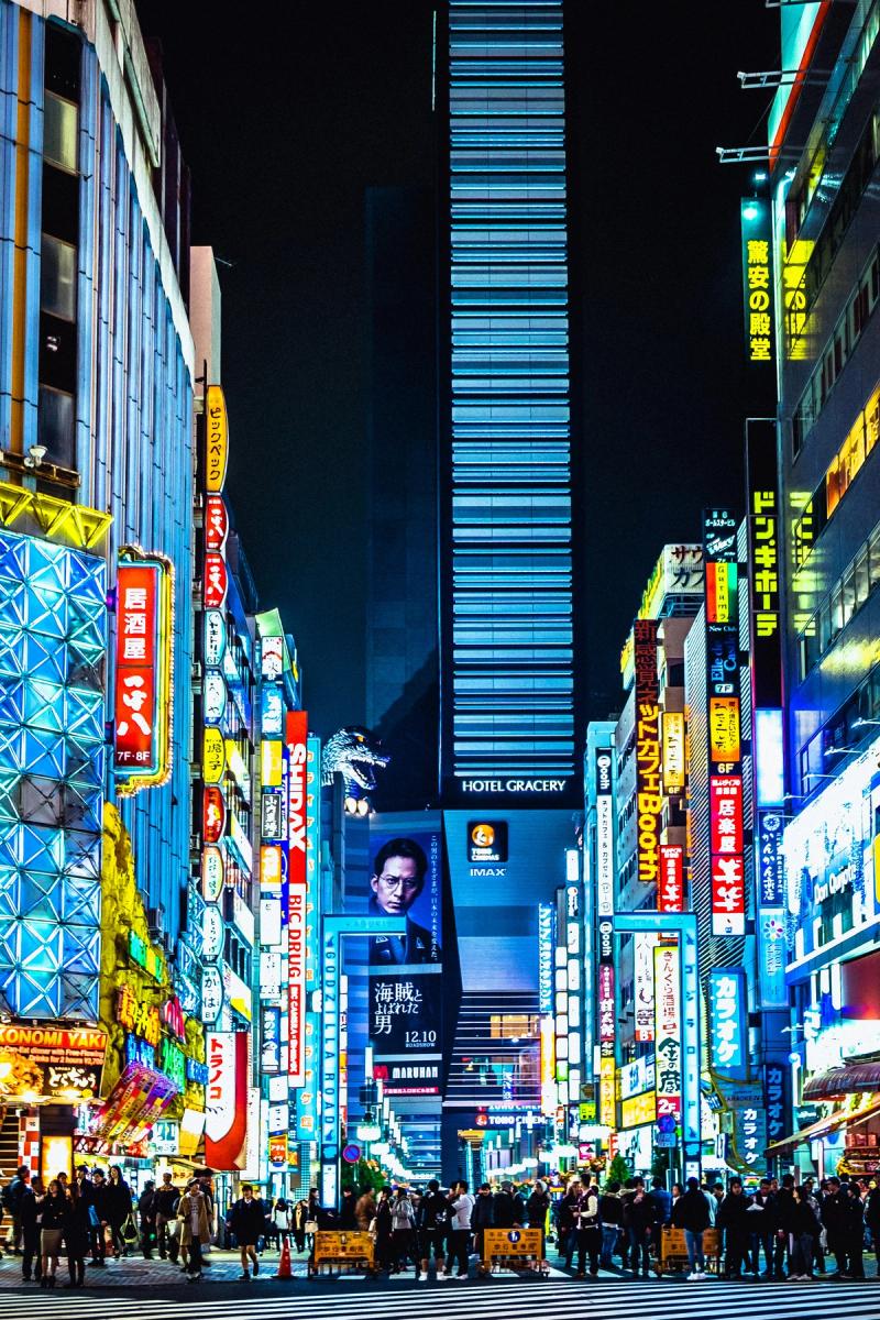 Japón - foto 6